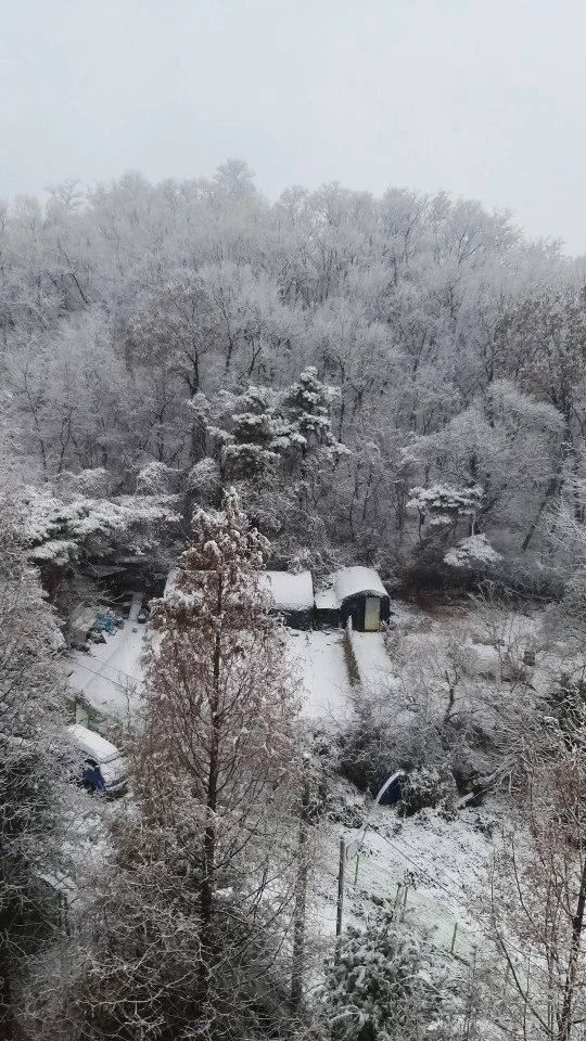 사건사고 많은 한해가 가고 썸네일
