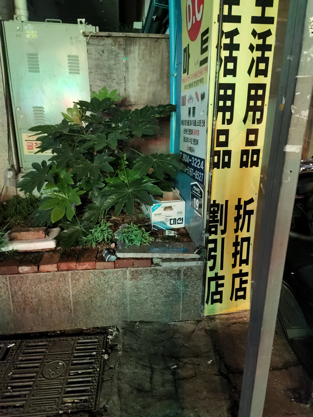 고양이를 누가버렸어요ㅠㅠ 서면시장쪽 온센앞에 대선  썸네일