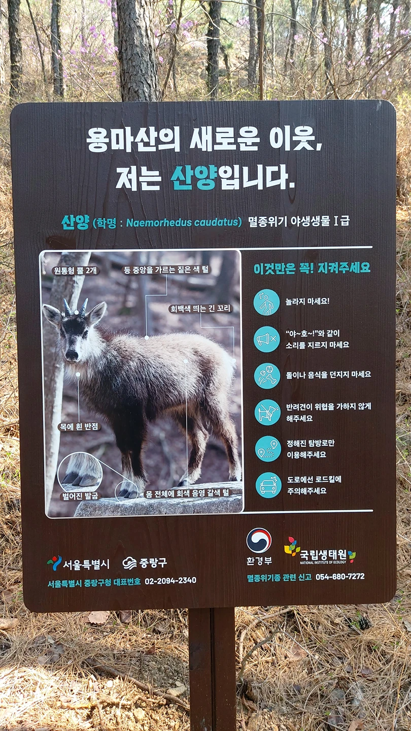 전에 왔을 때는 간판이 없었는데, 썸네일