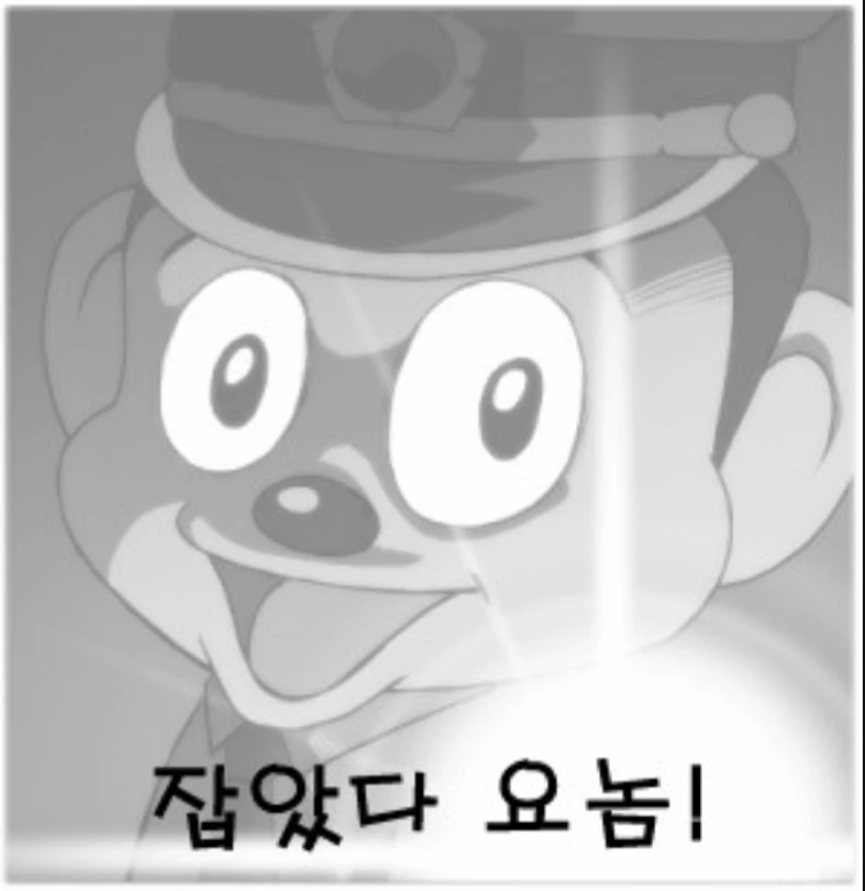 삐용삐용 경보발령!!  좀전에 여성분들만 노리는  썸네일