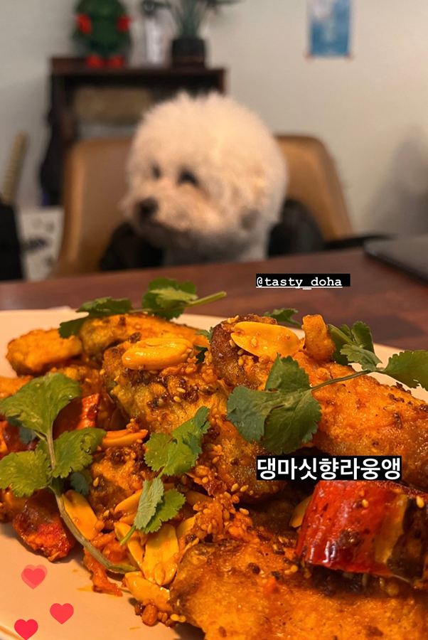 애견동반맛집 썸네일