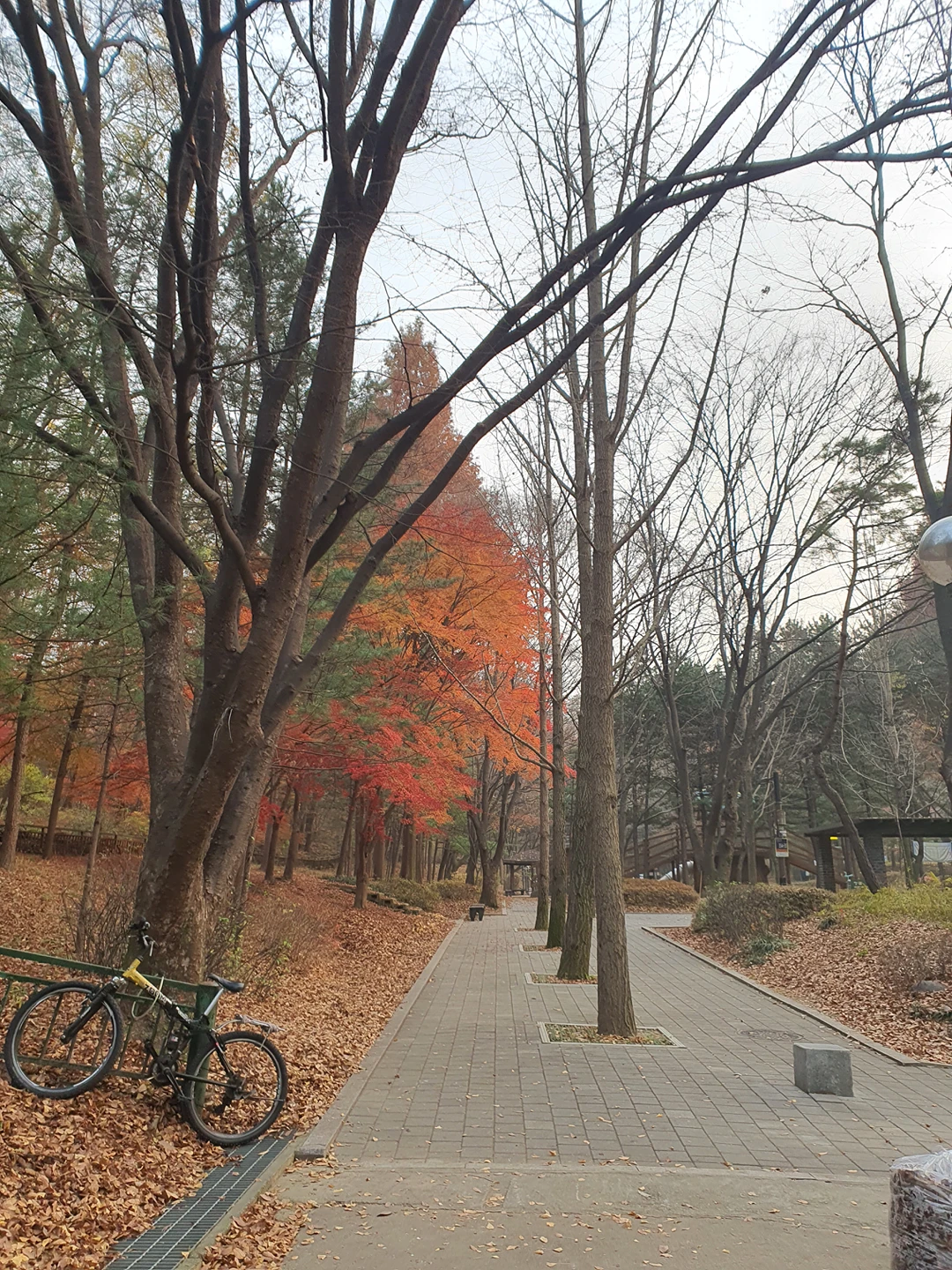 오늘 미세먼지 뚫고 초안산공원 좀 걸었어요~~ 썸네일