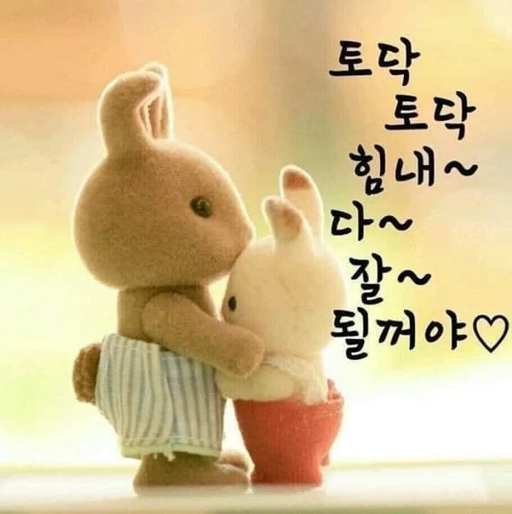 미국 대선도 오르락 내리락 .롤러코스트 우리내 인생  썸네일