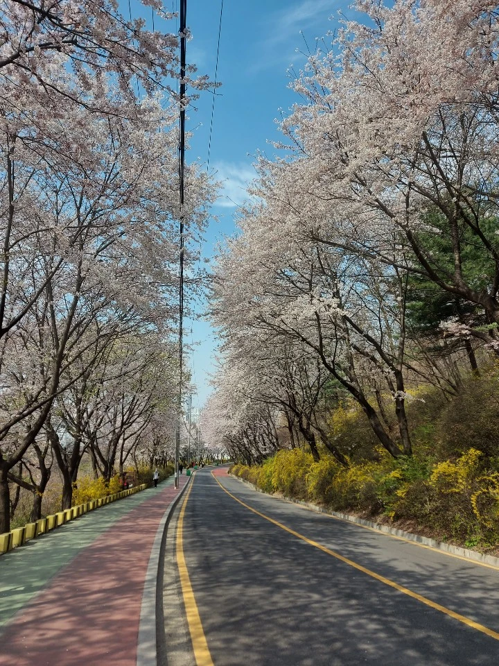 정명고 후문 전진아파트 가는 산책로 정말  썸네일
