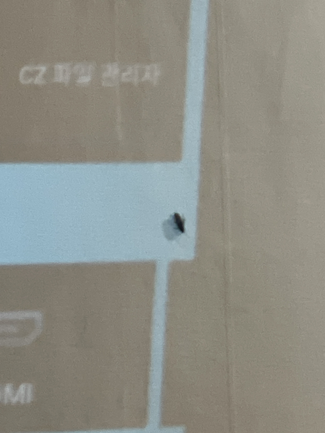 이거 바퀴벌레인가요,,? 시력도 안좋은데 눈물잘잘흘려서 썸네일