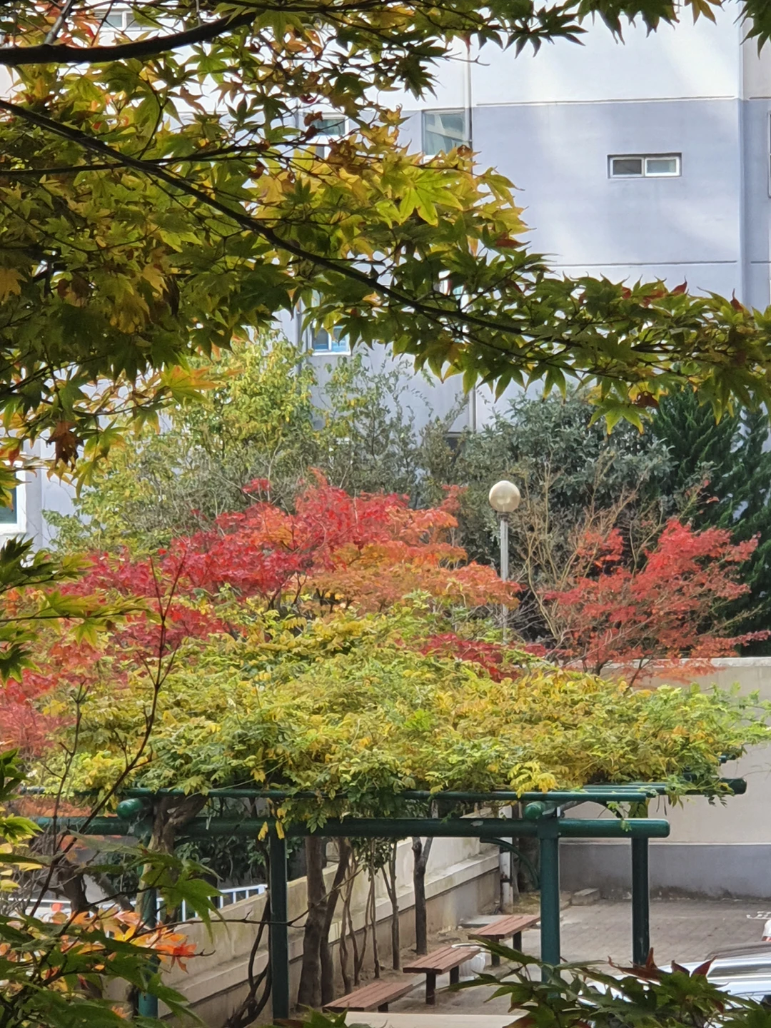 신평한신  아파트 썸네일