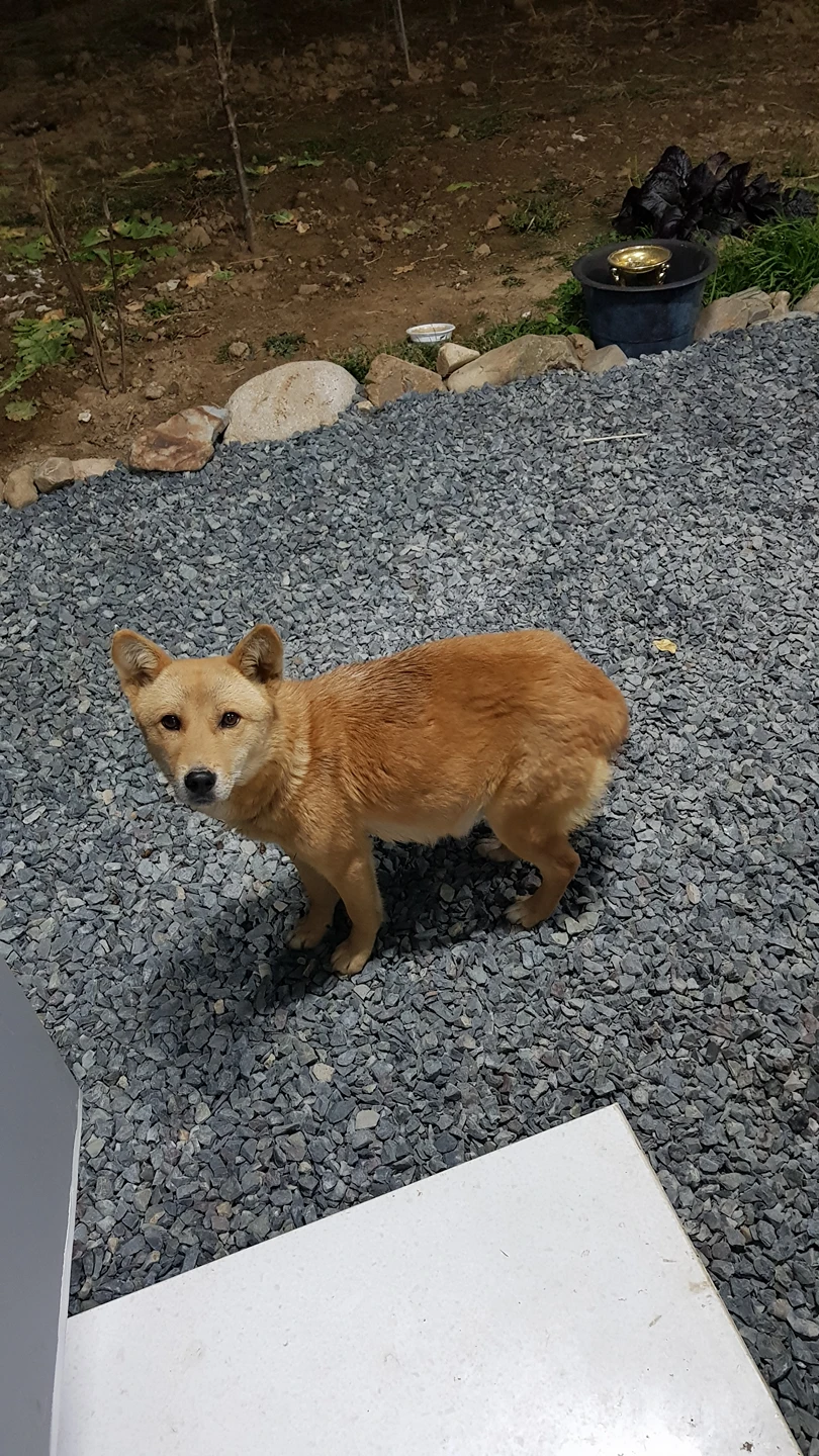 흥해서부초등학교 근처입니다. 임신중인 상태입니다. 썸네일