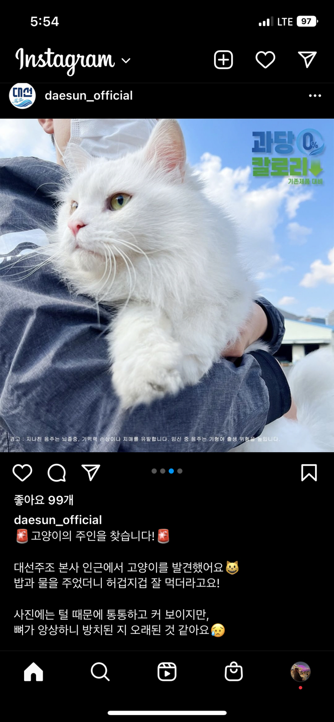 ☁️대선주조 근처 사시는분들 봐주세요.☁️ 썸네일