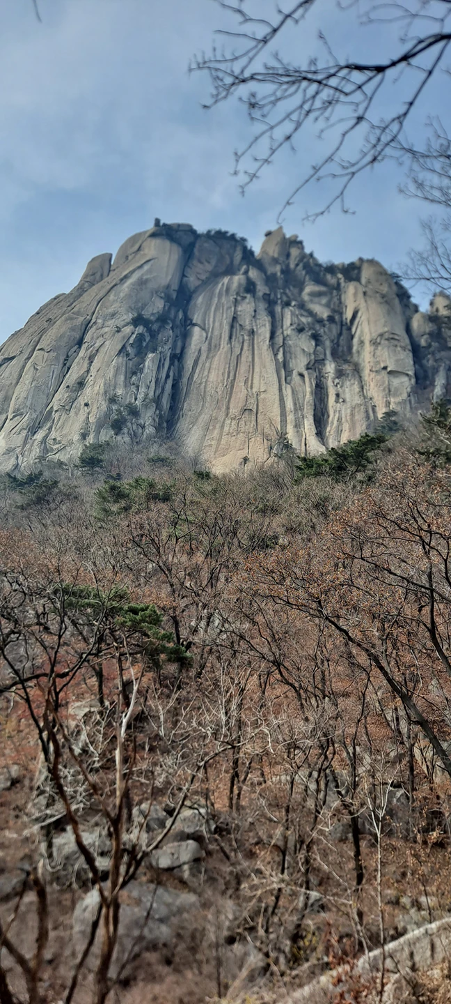 오늘 도봉산 다녀왔네요 봄꽃은 피고있고 미세먼지가  썸네일