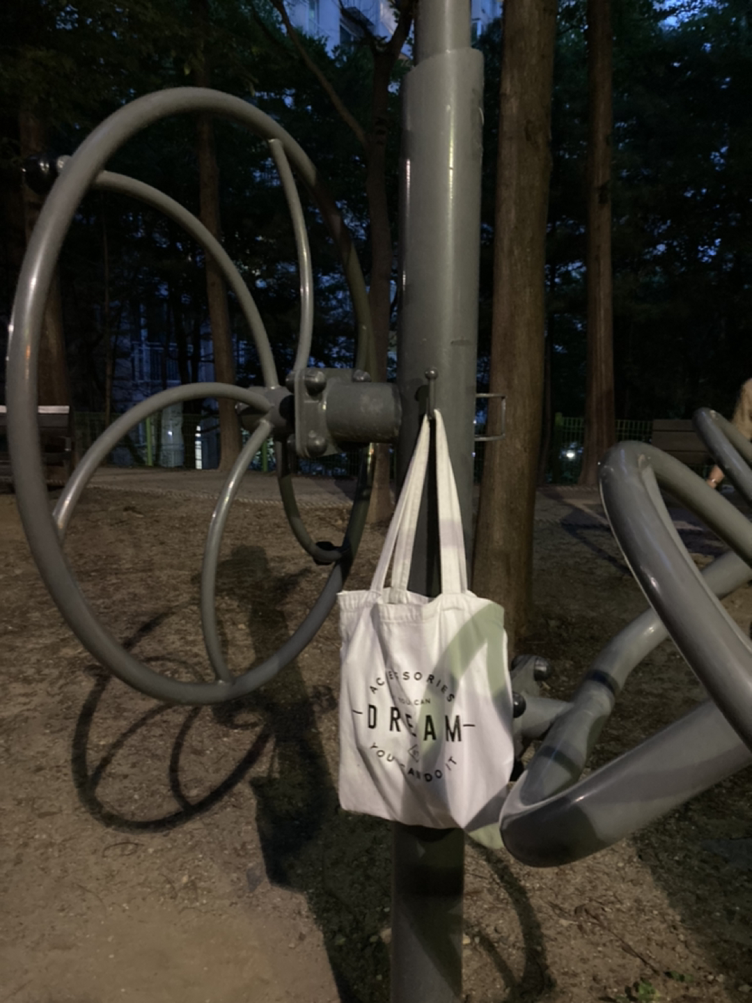 에코백이 며칠째 운동기구에 걸려있네요 썸네일