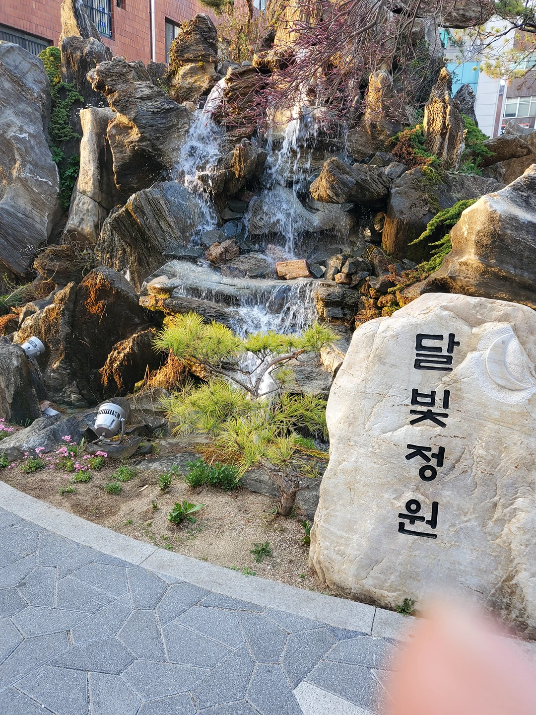 시내차없거리 코로나땜에 사람도안다니고휑하니   썸네일