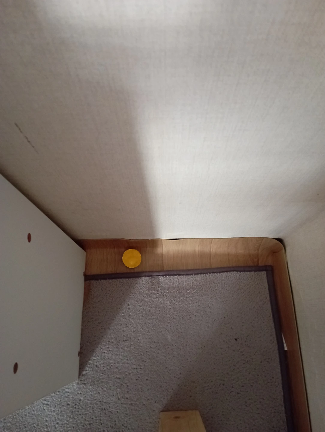 오늘 바퀴벌레 퇴치 약 만들어서 집안 곳곳에  썸네일