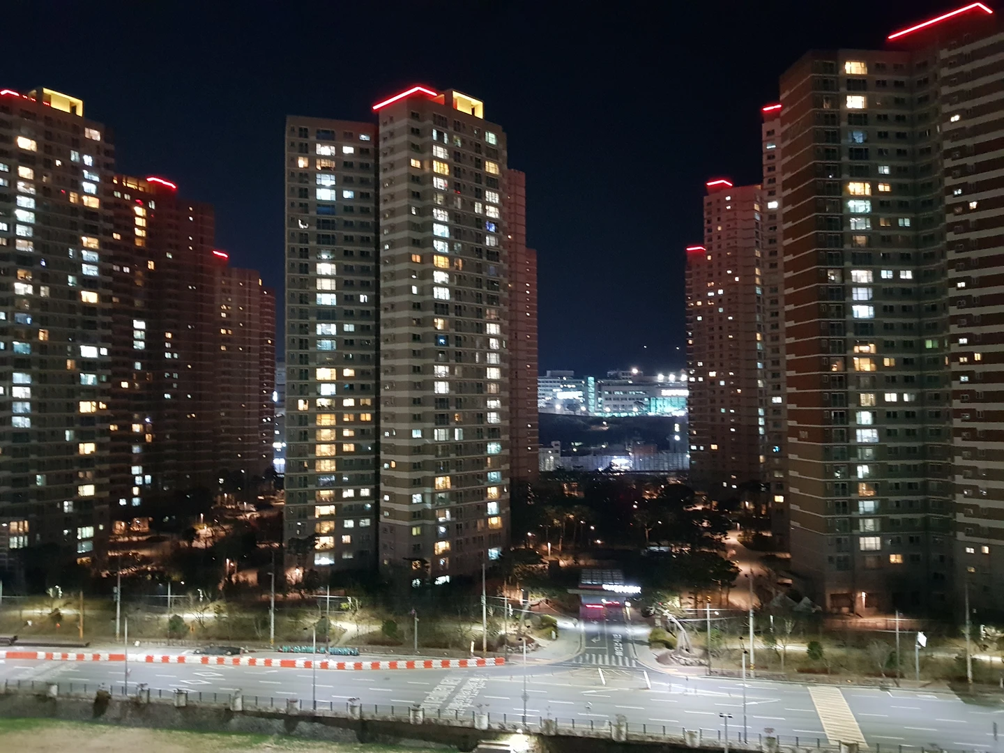 당근님들 썸네일