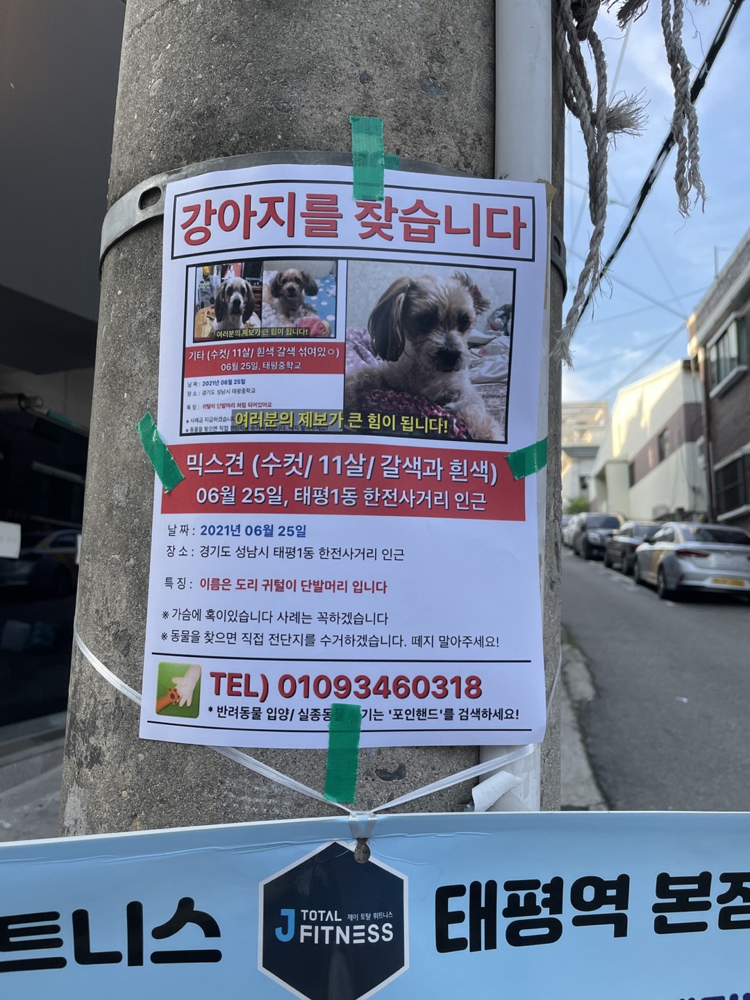 방금 저희동네에 붙어있던 전단지 입니다. 썸네일