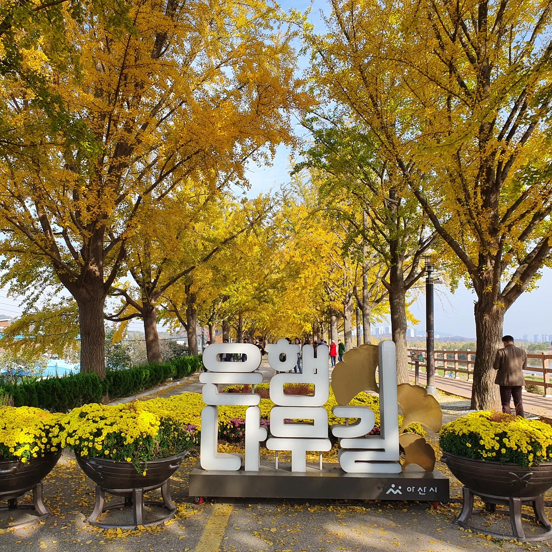 날씨는  너무 좋은데~여행은 못다니고ㅜ 썸네일