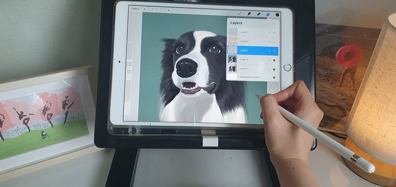 ⭐️반려동물 아이패드 드로잉⭐️ 썸네일