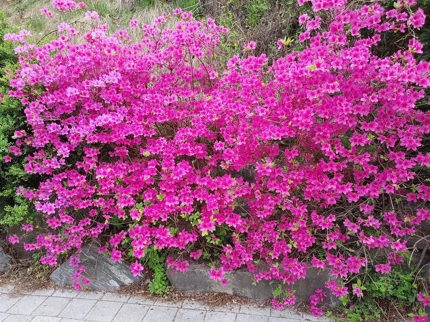 아후 날씨가 요즘 덥내요 썸네일
