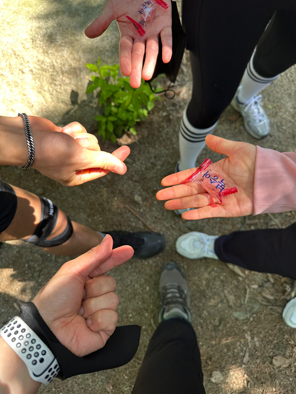 신림 도림천 산책 운동모임💪🏼-마리나크루 썸네일