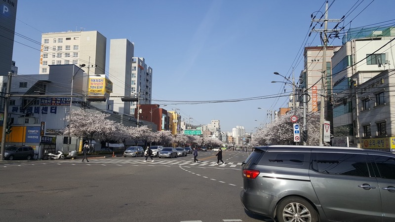 관악구 중앙동 소소한 대화^^♡ 썸네일