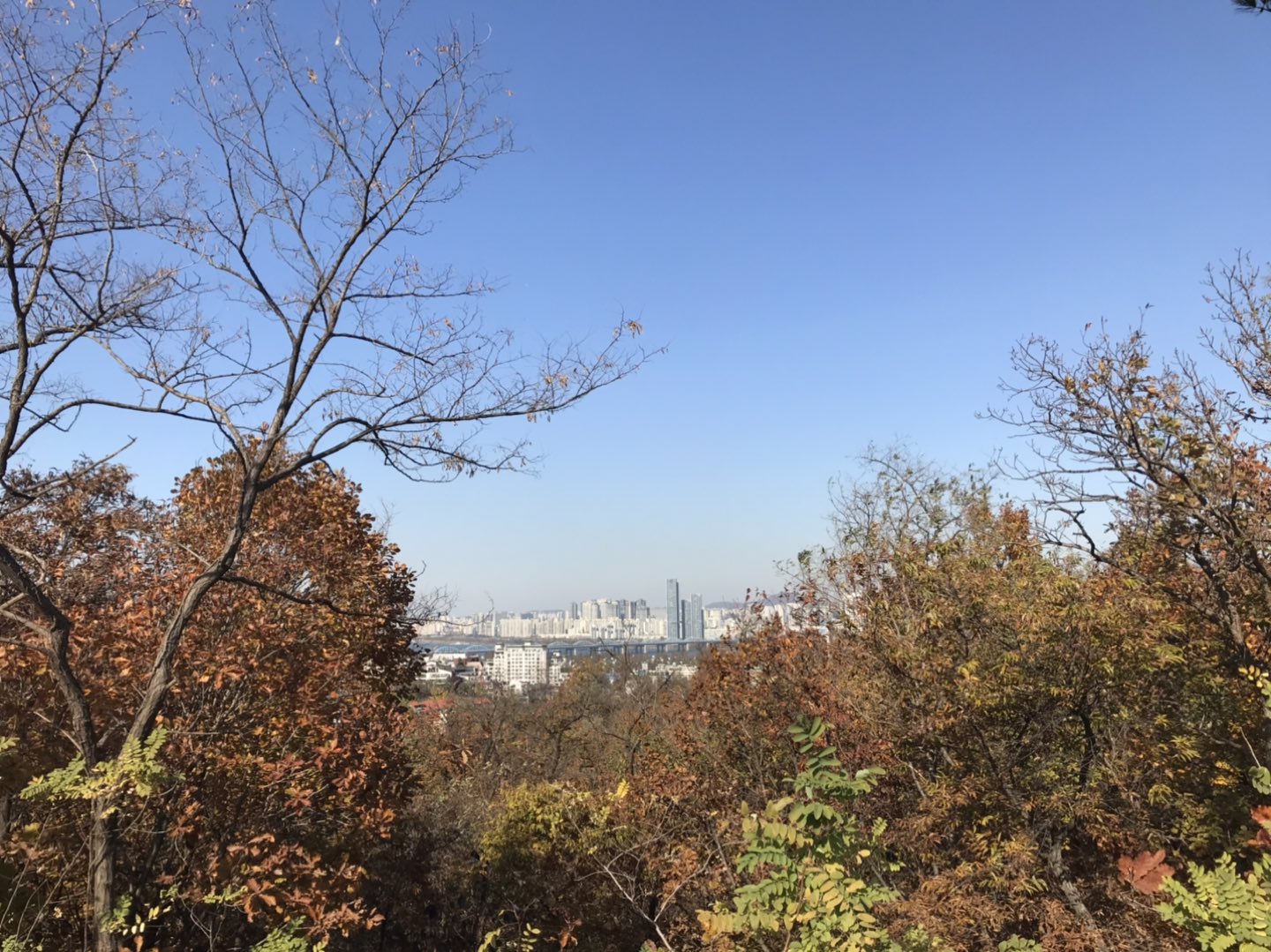 서리풀공원 전망대에서 바라본 한강뷰에요~ 썸네일