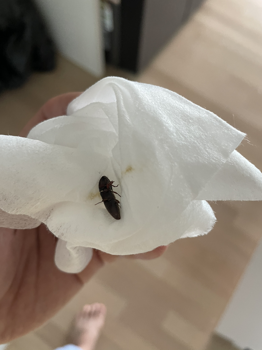 혐짤주의....!!!! 썸네일