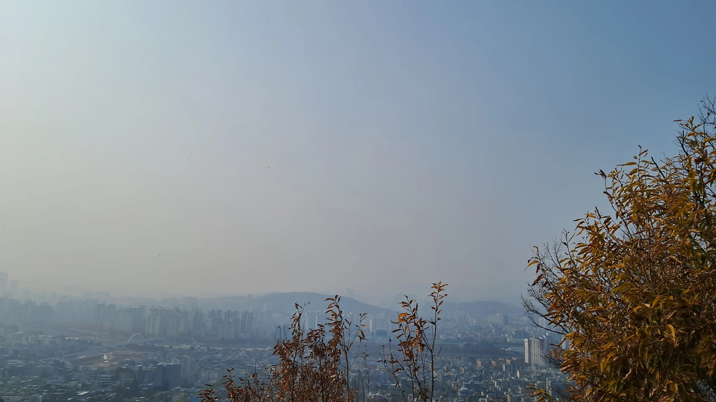 미세먼지가 쩐드아 산책가즈아 썸네일