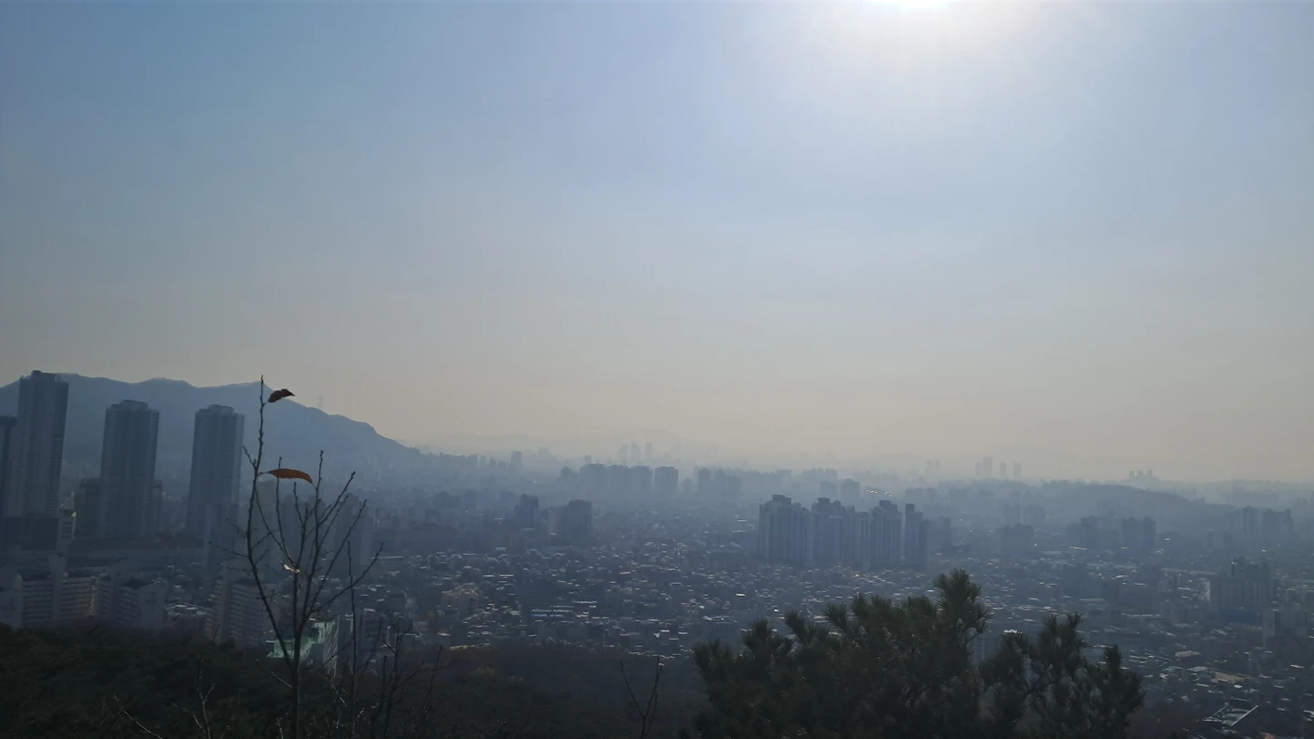 미세먼지가 쩐드아 산책가즈아 해장가즈아 썸네일