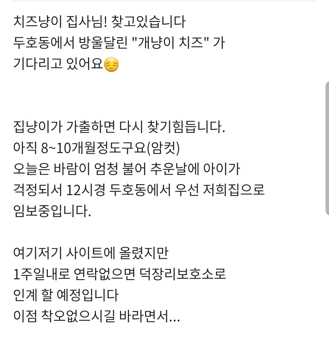 꼬물이들 탄생 축하해주세요❤ 썸네일