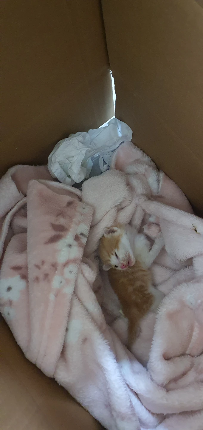삼산농산물도매시장에서 알바 중인데요. 썸네일