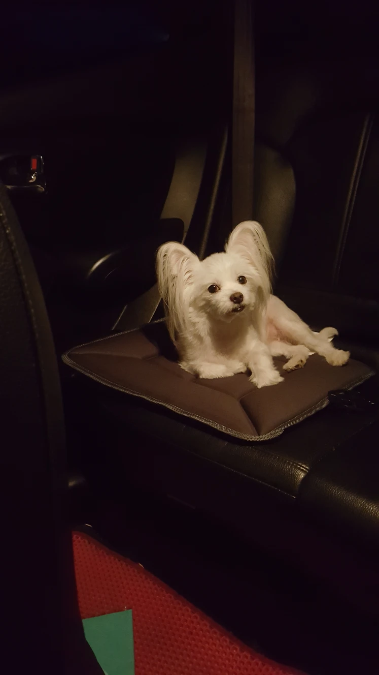 날씨가 더워서 나도 추욱 썸네일