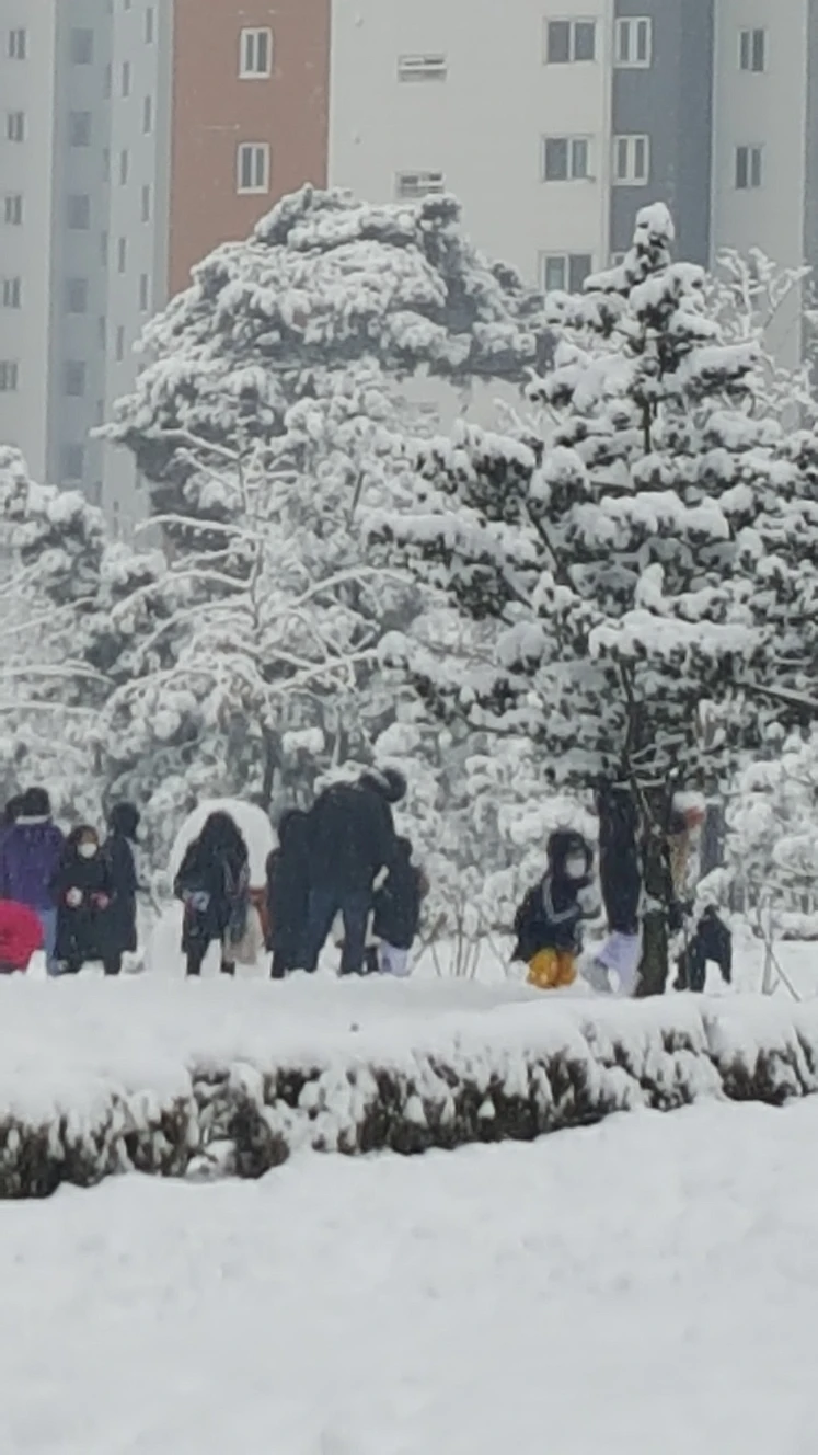 폭설철이내요 다들 집에서 안전하게 쉬길^^ 썸네일