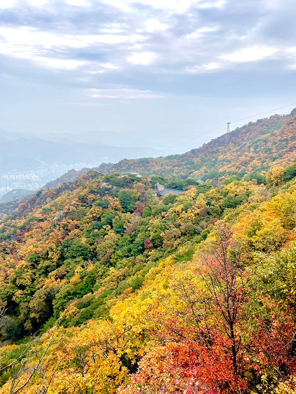 주말 관악산 등산 썸네일