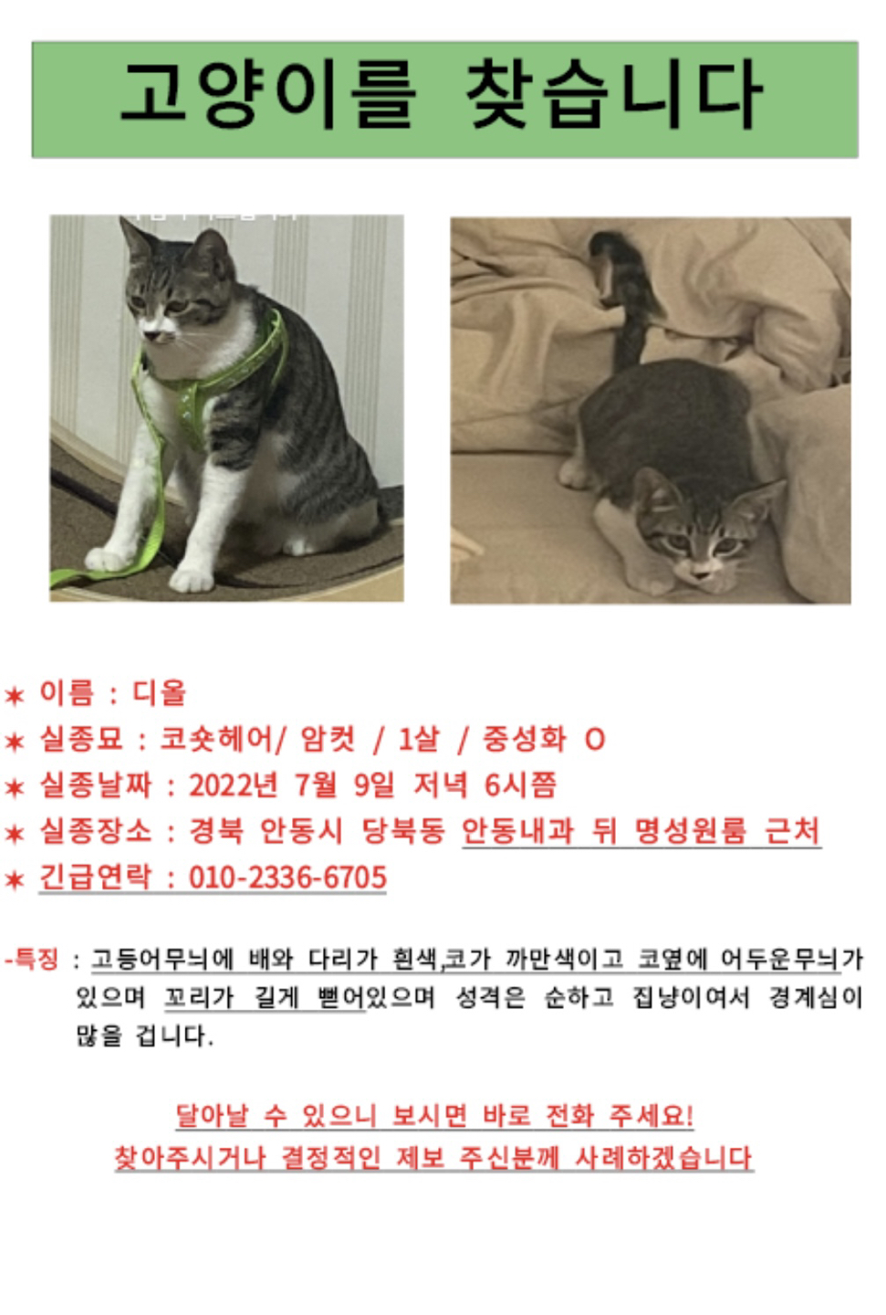 찾아요 썸네일