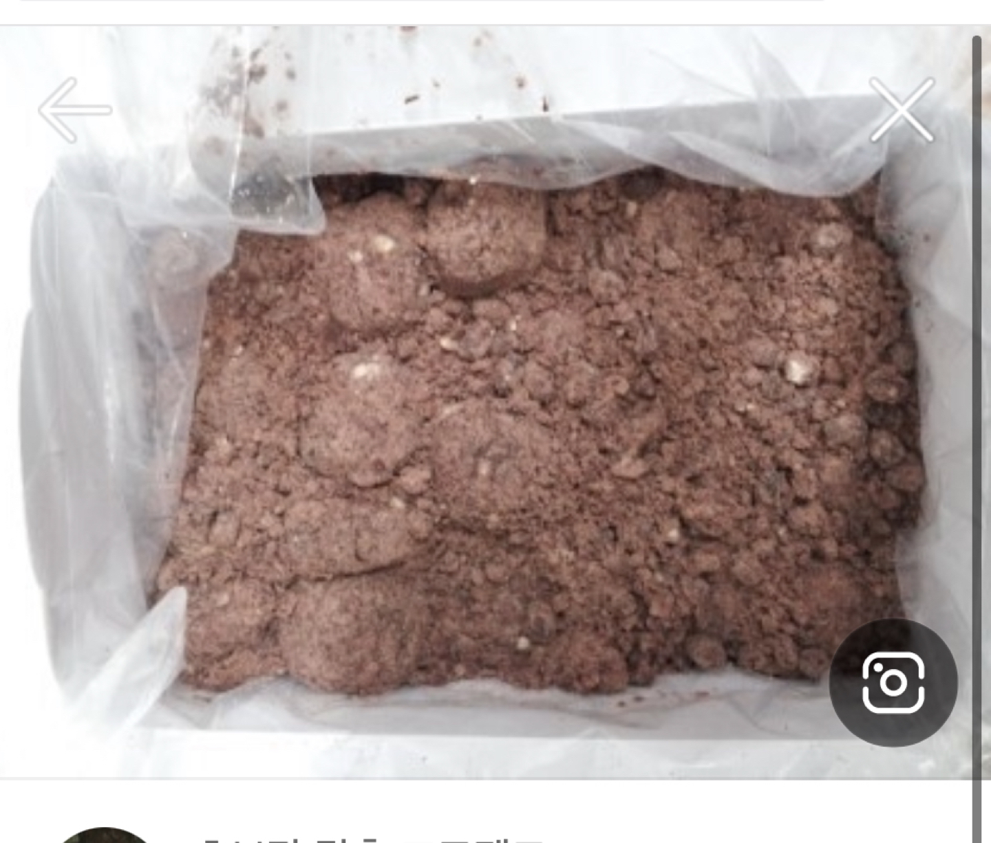 전에 계산동에 진예당이란 떡집있었는데 썸네일