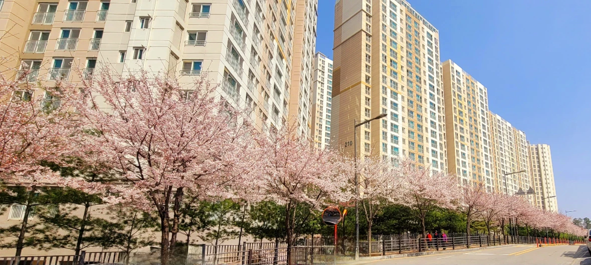 백석아이파크2차아파트 남문 옆길입니다. 썸네일