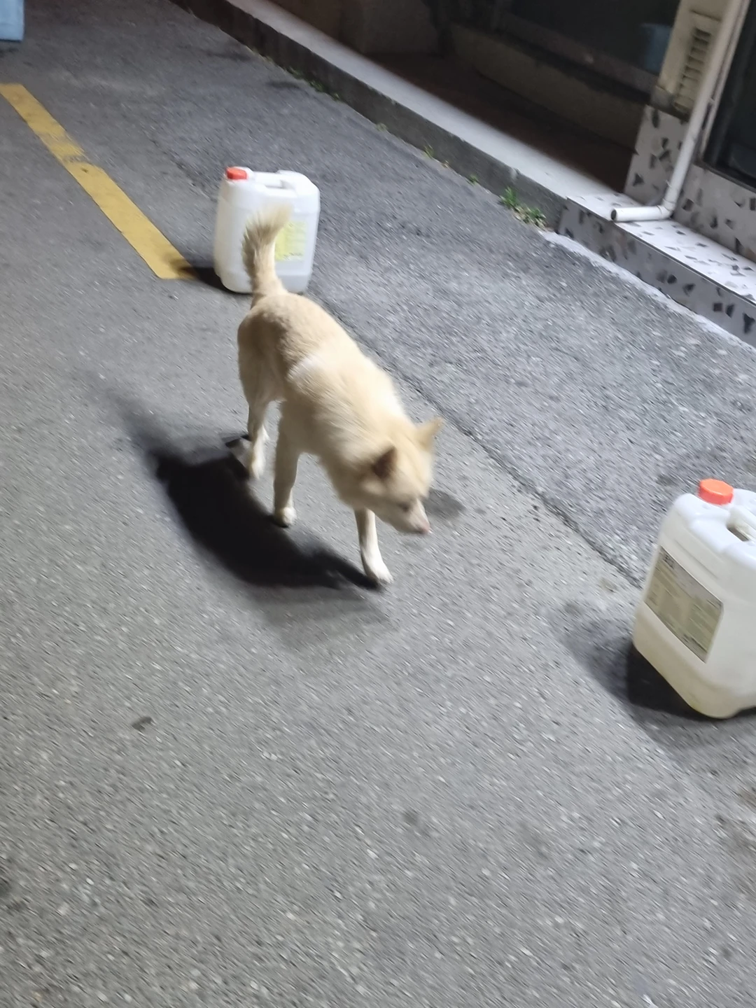 연지동  재개발 하는 쪽 사람없는 거리에  썸네일
