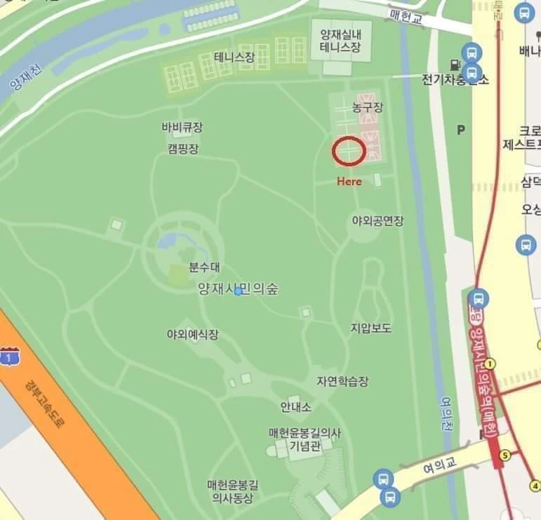 <  프랑스 전통경기 페탕크 무료 강습> 썸네일