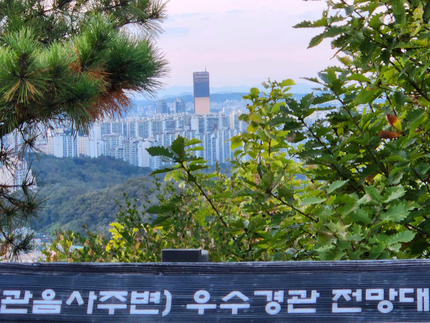 불꽃놀이 관악산 야등 현재상황 썸네일