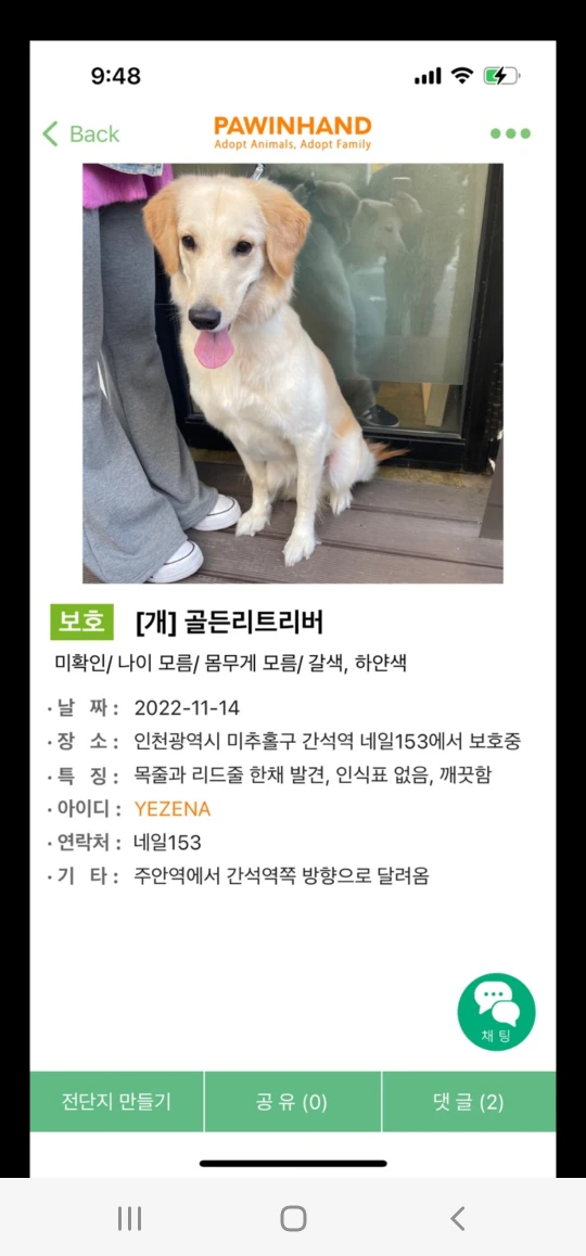 골든리트리버 암컷 잃어버리신분 로뎀 요양병원 뒤에서  썸네일