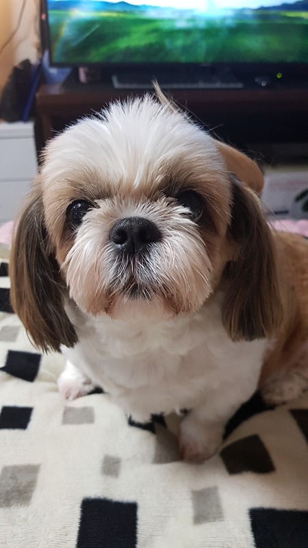 선릉공원 걷기운동 같이 하실분^^ 썸네일