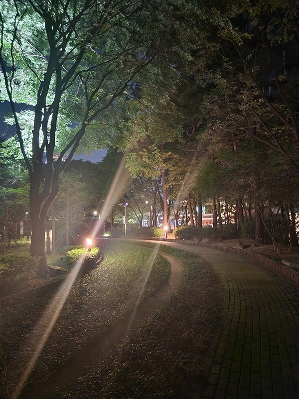 당근이지 러닝크루 (OCRC) 썸네일