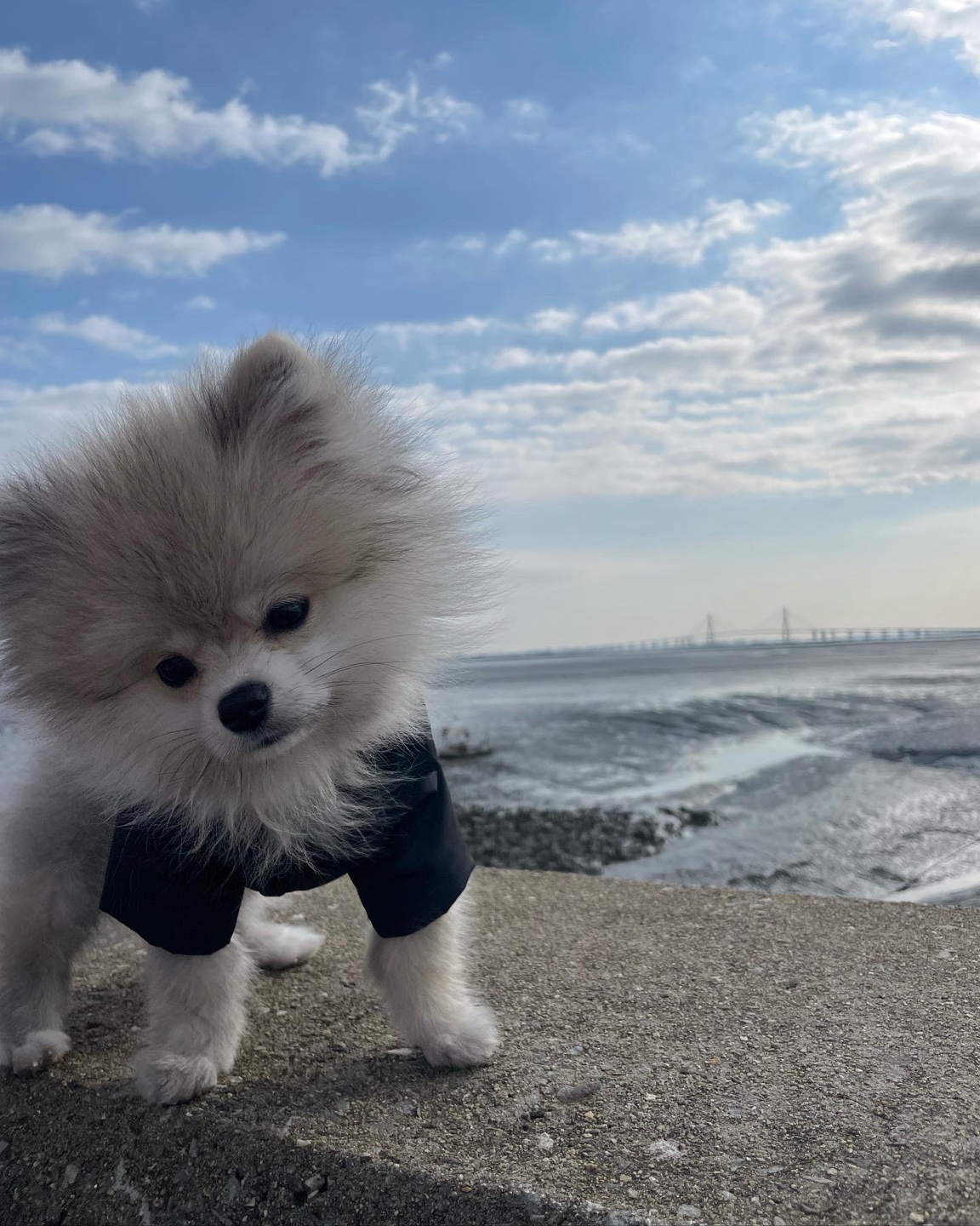 영종도 진짜 산책하긴 짱인듯 썸네일