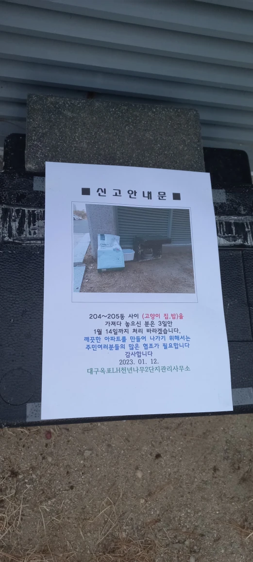 천년나무205동쪽 캣맘님 꼭 확인하세요 썸네일