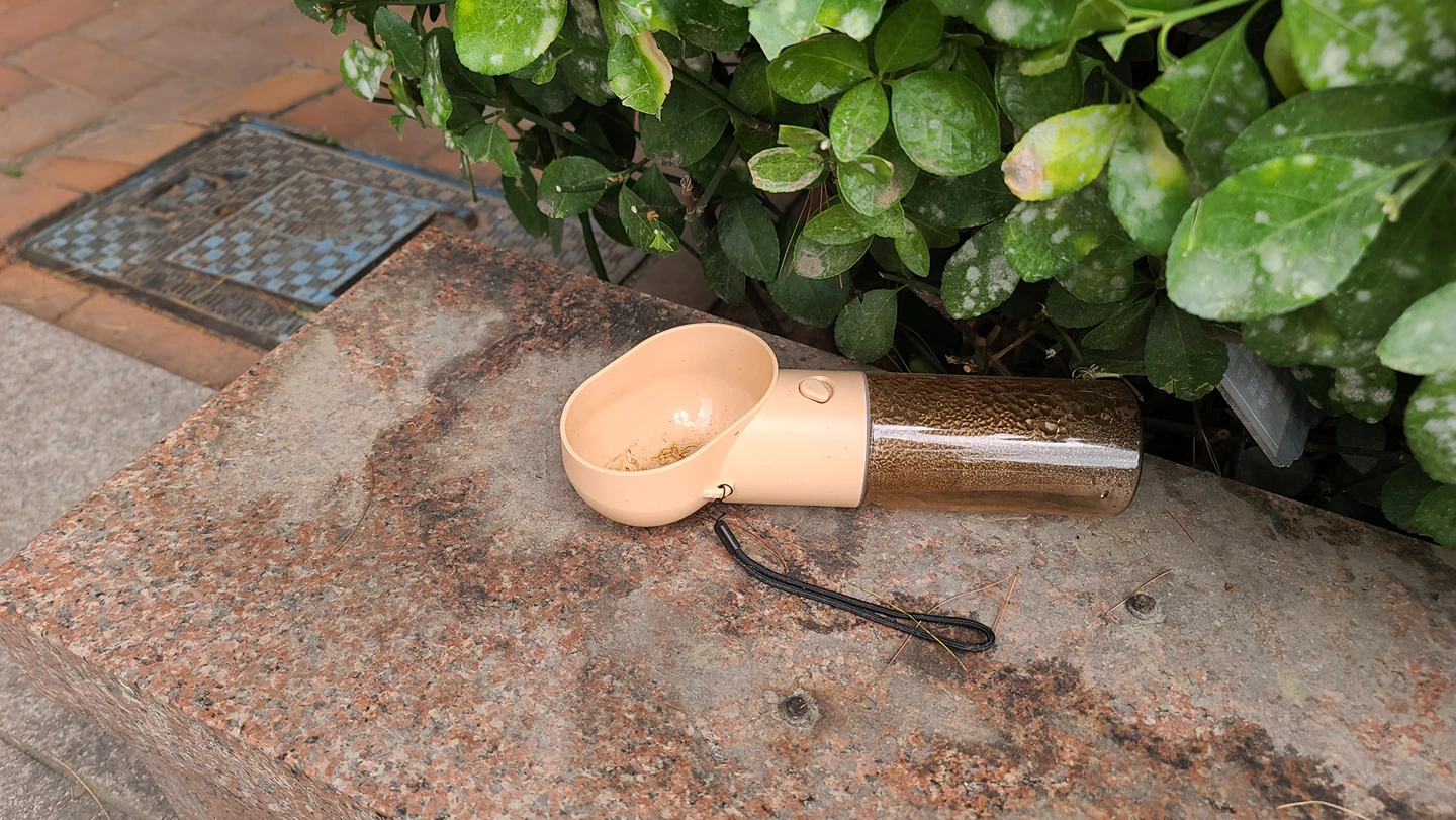 현대아이파크 정문에 있는 부동산 계단쪽에 ㅡ 강아지  썸네일