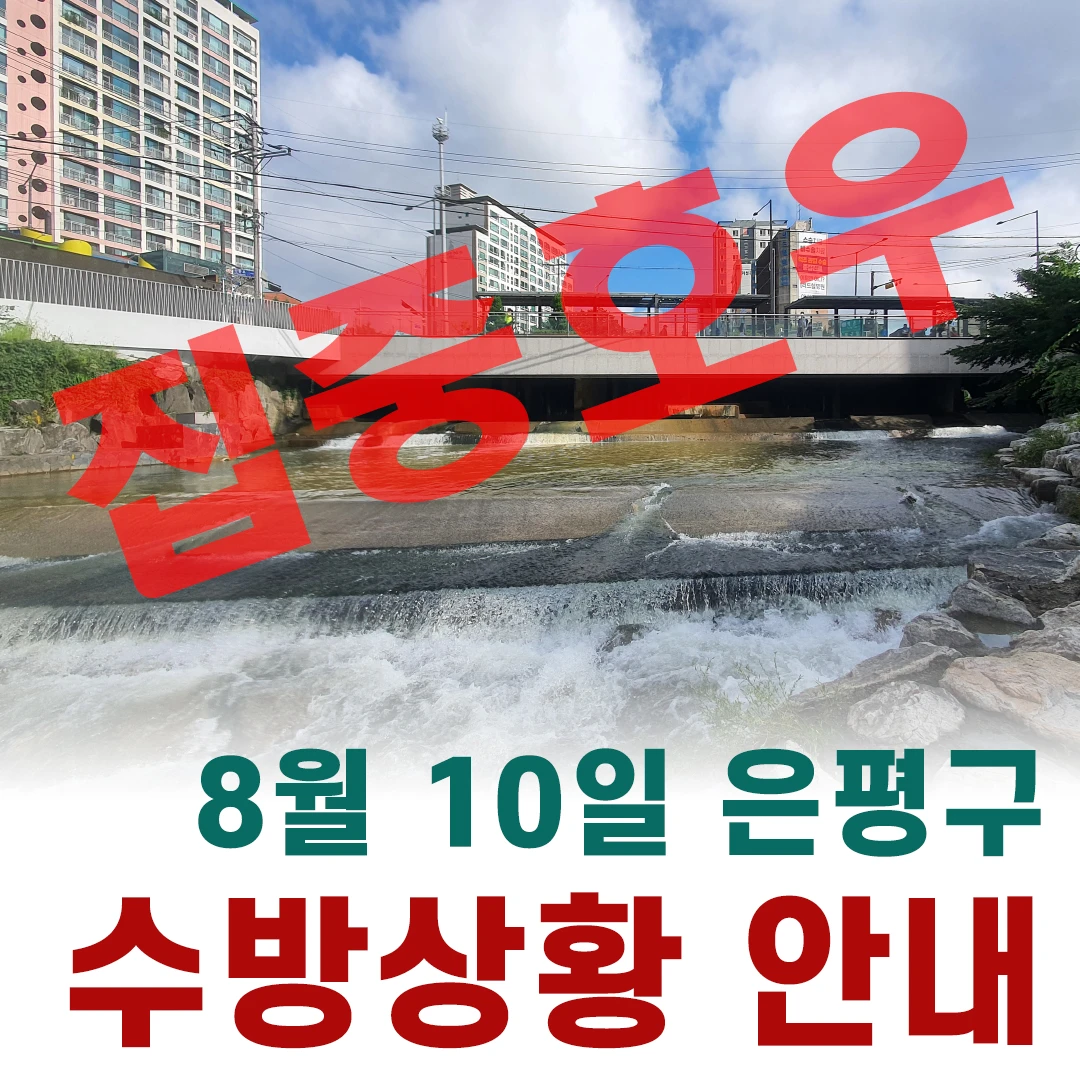 2022년 8월 10일(수) 08:00  썸네일