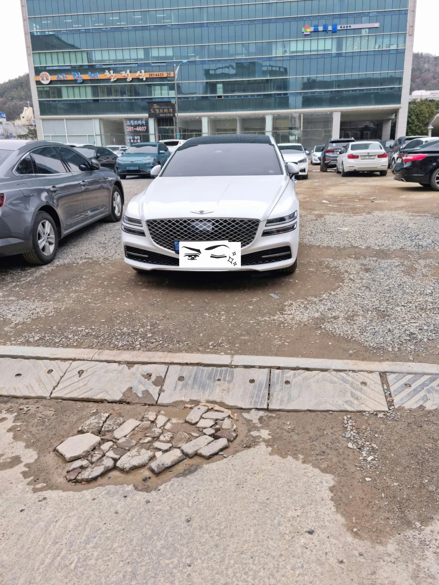 요즘도 이런 주차민폐러가 있네요 썸네일