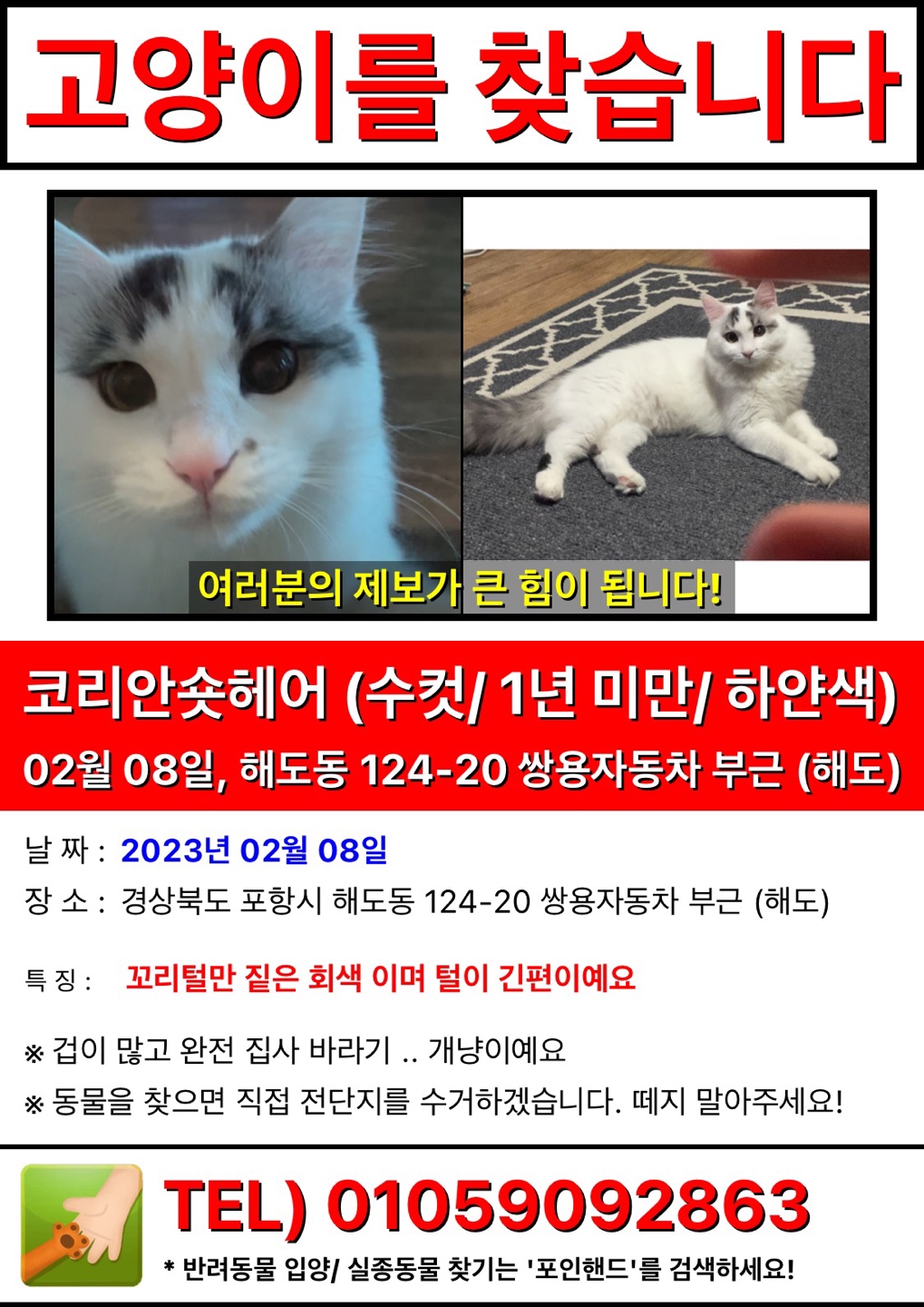 고양이 찾아요 썸네일