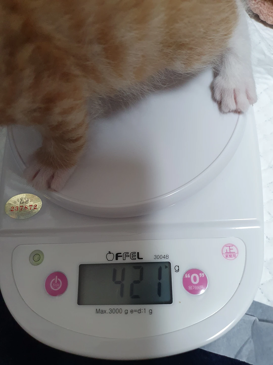 간만에 인사드려요^^꾸리와 마린이 썸네일