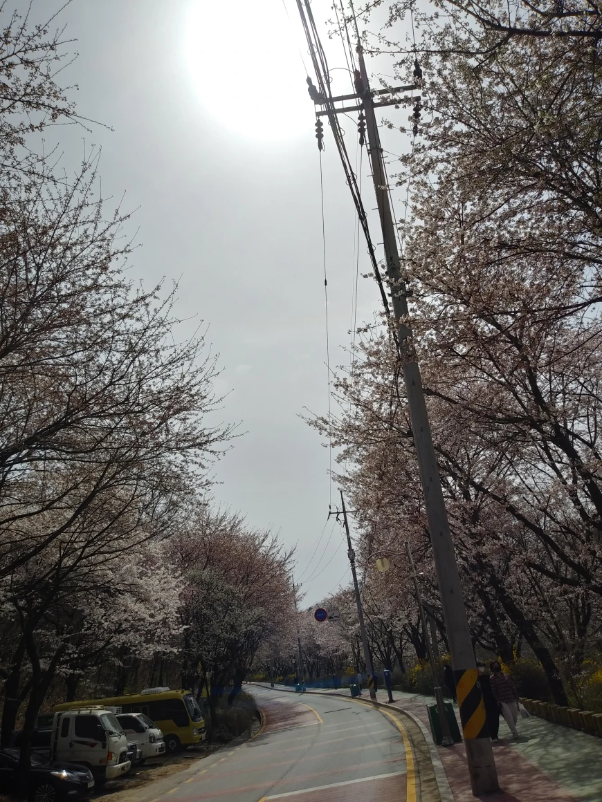 정명고등학교 후문에 썸네일