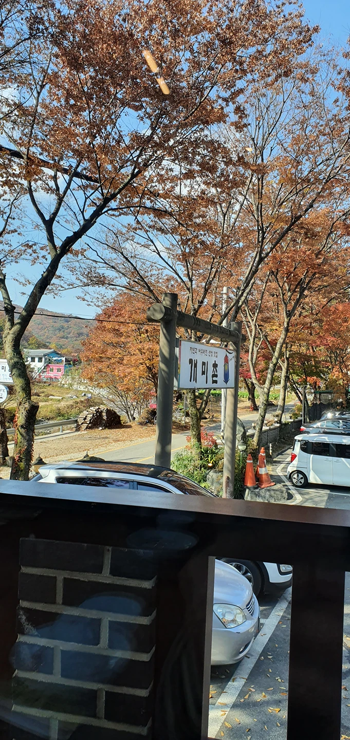 이 예쁜 가을을 함께 해준 사람들이 있어서 썸네일